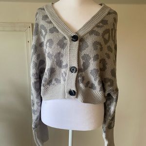 Wild fable cropped sweater